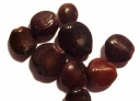 sadzonki -  Japońskie Drzewo Rodzynkowe Howenia słodka Hovenia dulcis C6/100cm *TD