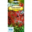 rośliny ogrodowe -  Żurawka ogrodowa - Heuchera sanguinea - nasiona - 0,1 g