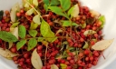 sklep ogrodniczy - Pieprz syczuański Zanthoxylum piperitum Żółtodrzew Pieprzowy P9/10-20cm