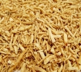 sklep ogrodniczy -  Żeń-szeń właściwy w doniczce Panax ginseng /C7,5