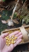 sadzonki - Czosnek słoniowy Elephant garlic - 10szt. cebulek przybyszowych