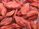 sklep ogrodniczy - Lycium Eleagnus Barbarum Jagoda Goji 10 nasion