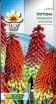 sklep ogrodniczy -  Trytoma groniasta czerwono-żółta- 0,2g nasion Kniphofia uvaria