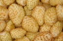 rośliny ogrodowe -  Poziomka YELLOW WONDER - nasiona - 0,1 g (Fragaria vesca)