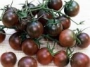 sklep ogrodniczy - Pomidor Black Cherry - 0,20  g nasion