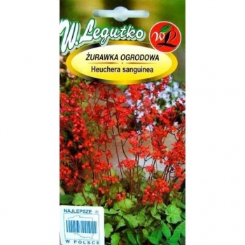 rośliny ozdobne - Żurawka ogrodowa - Heuchera sanguinea - nasiona - 0,1 g