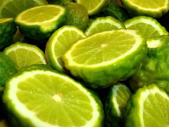 rośliny ozdobne - Limonka Kaffir Citrus hystrix Papeda /P12 *T56