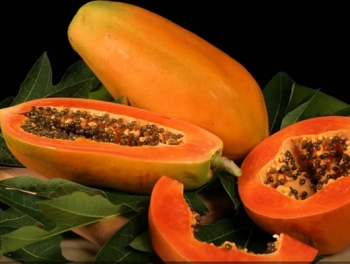 sadzonki - Papaja in. Melonowiec Carica papaya 10 szt. nasion