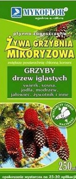 rośliny ogrodowe - Mikoryza grzyby drzew iglastych MYKOFLOR