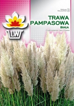 sadzonki - Trawa pampasowa biała - 0,3g nasion